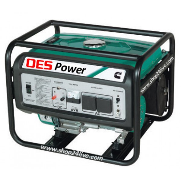 OES Power Generator P6000E 6.0 KW